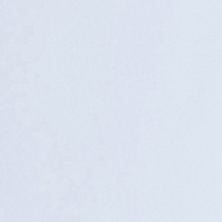 Farbmuster Bluse in Hellblau