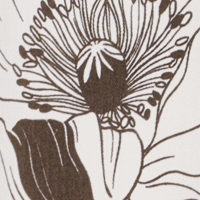 Farbmuster Jeans in brown / offwhite