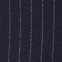 Farbmuster Hose in Marine