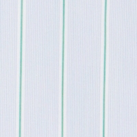 Farbmuster Bluse in light blue / green