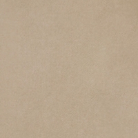 Farbmuster Hose in Sand