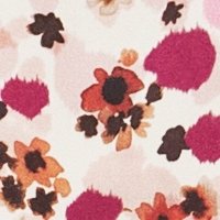 multicolour rose