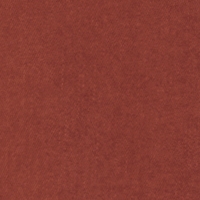 Farbmuster Jeans in Rot