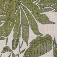 nature/olive
