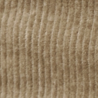 Farbmuster Hose in Hellbraun
