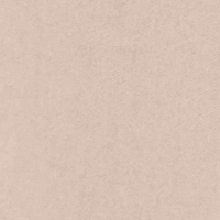Color swatch of trousers in light beige