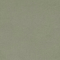 Farbmuster Hose in khaki